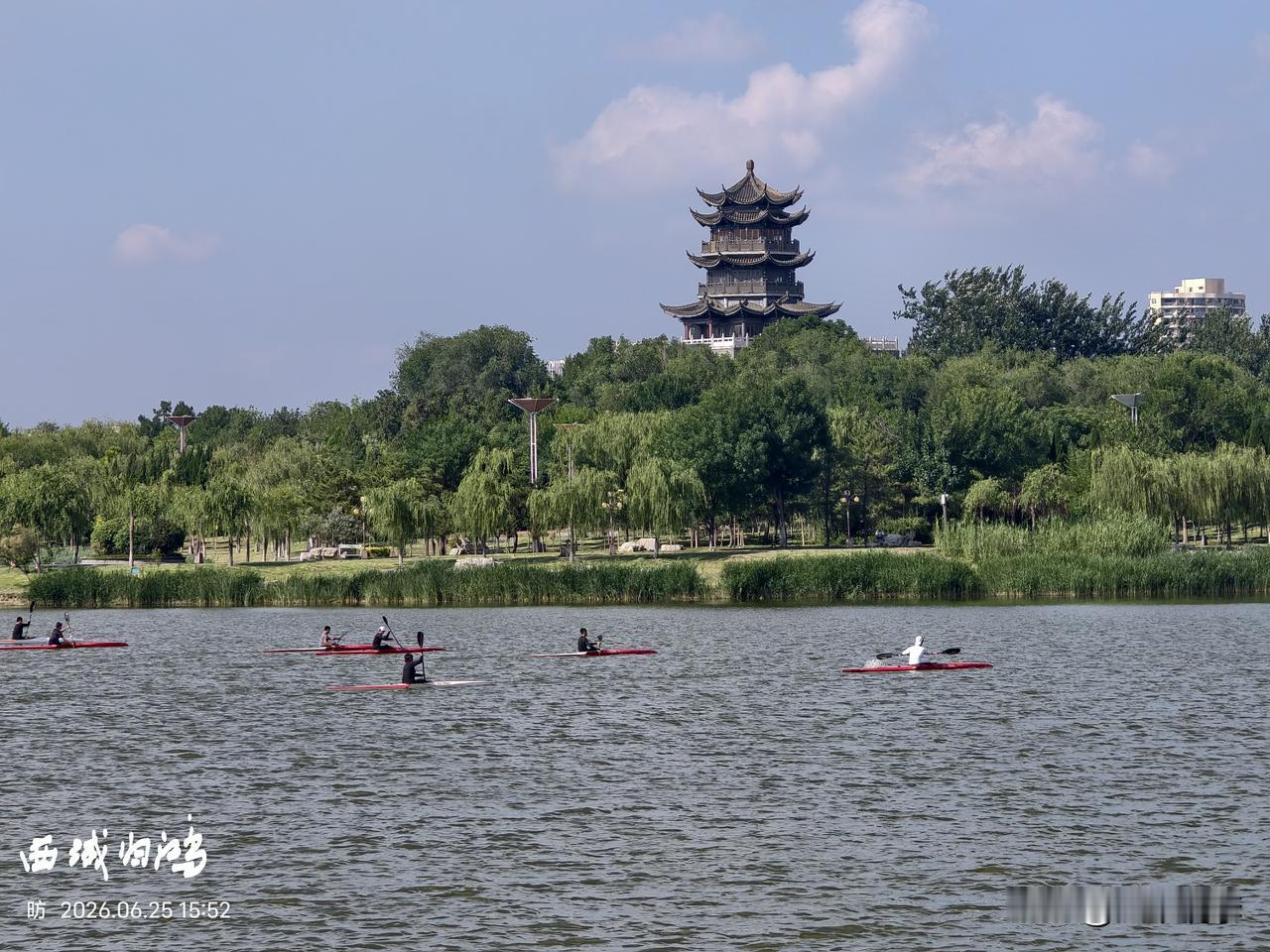 有没有好看的风景图片分享东营清风湖一瞥。东营一个城市人口不多，湿地很多，公园绿地