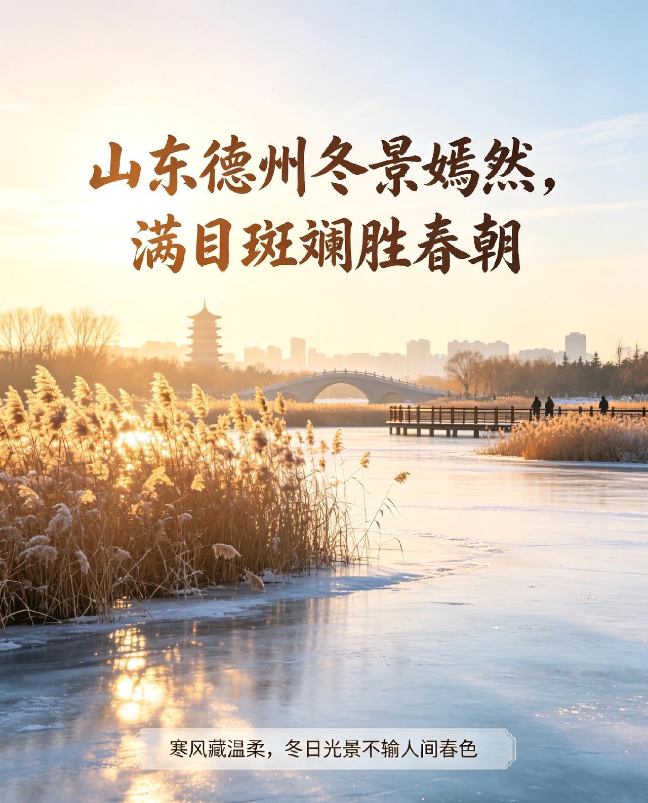 山东德州冬景嫣然，满目斑斓胜春朝
寒风藏温柔，冬日光景不输人间春色