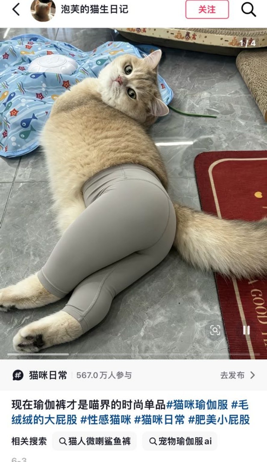 这个也不错 