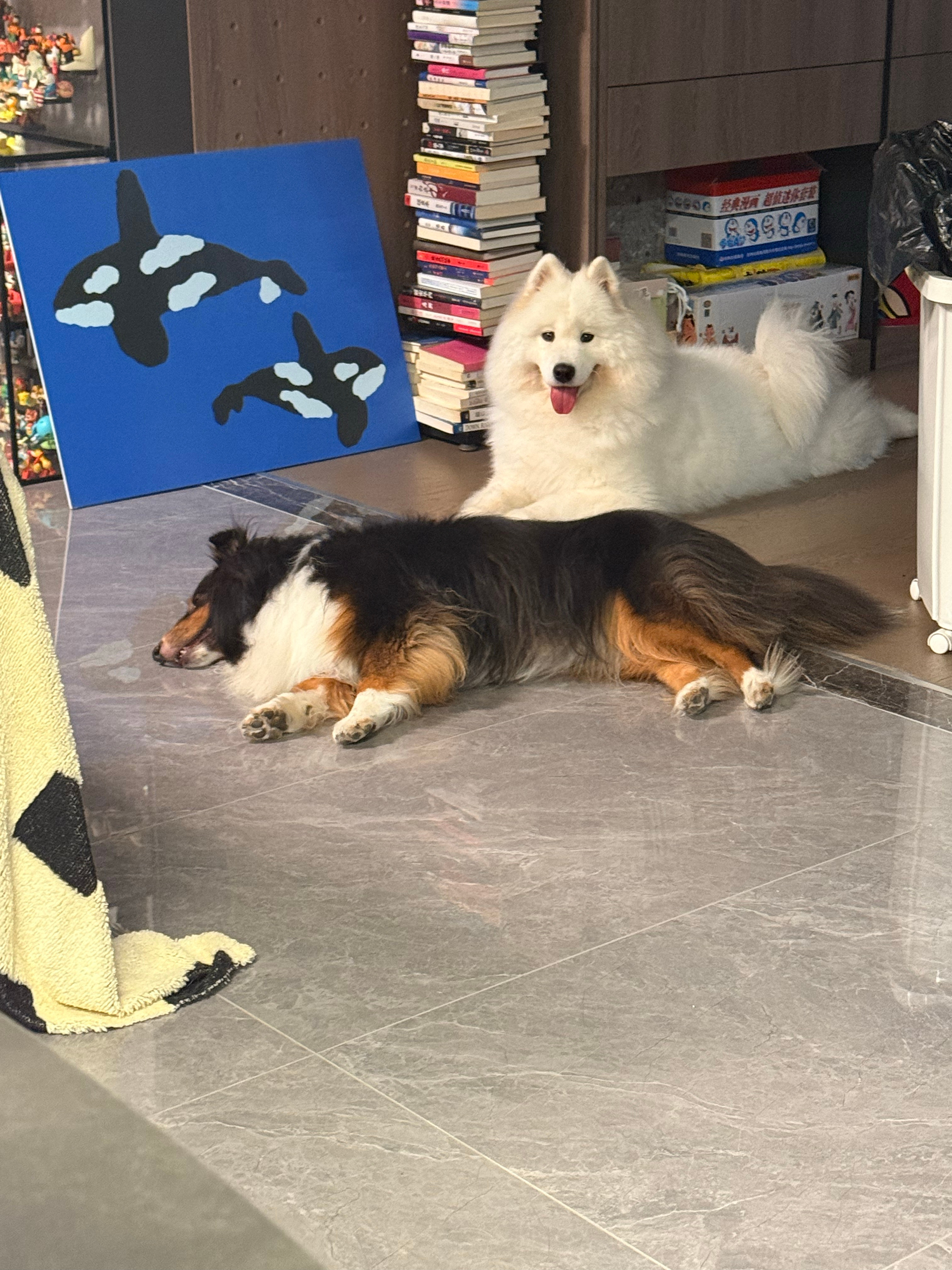 已经在计划姐姐起来后怎么玩 ​​​