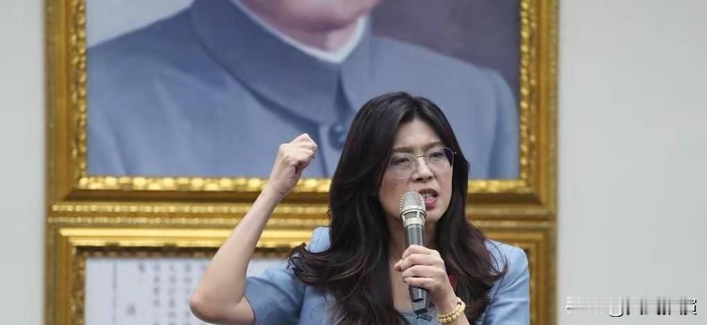 40分钟撕裂蓝营！暗独围堵郑丽文，大陆必须亮剑挺统派

2026年5月5日，国民