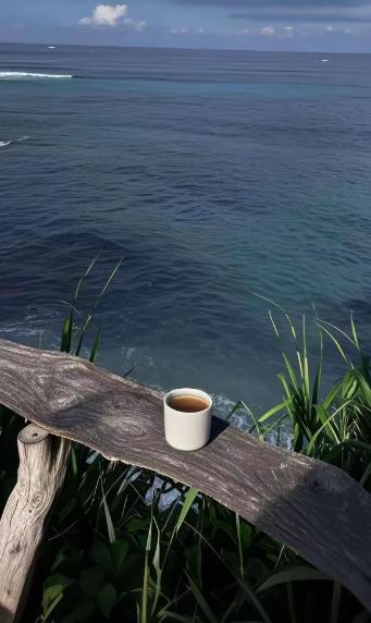 一位哲学家说:“其实人死了之后，不是去天堂，也不是去地狱，也没有转世和灵魂。人生