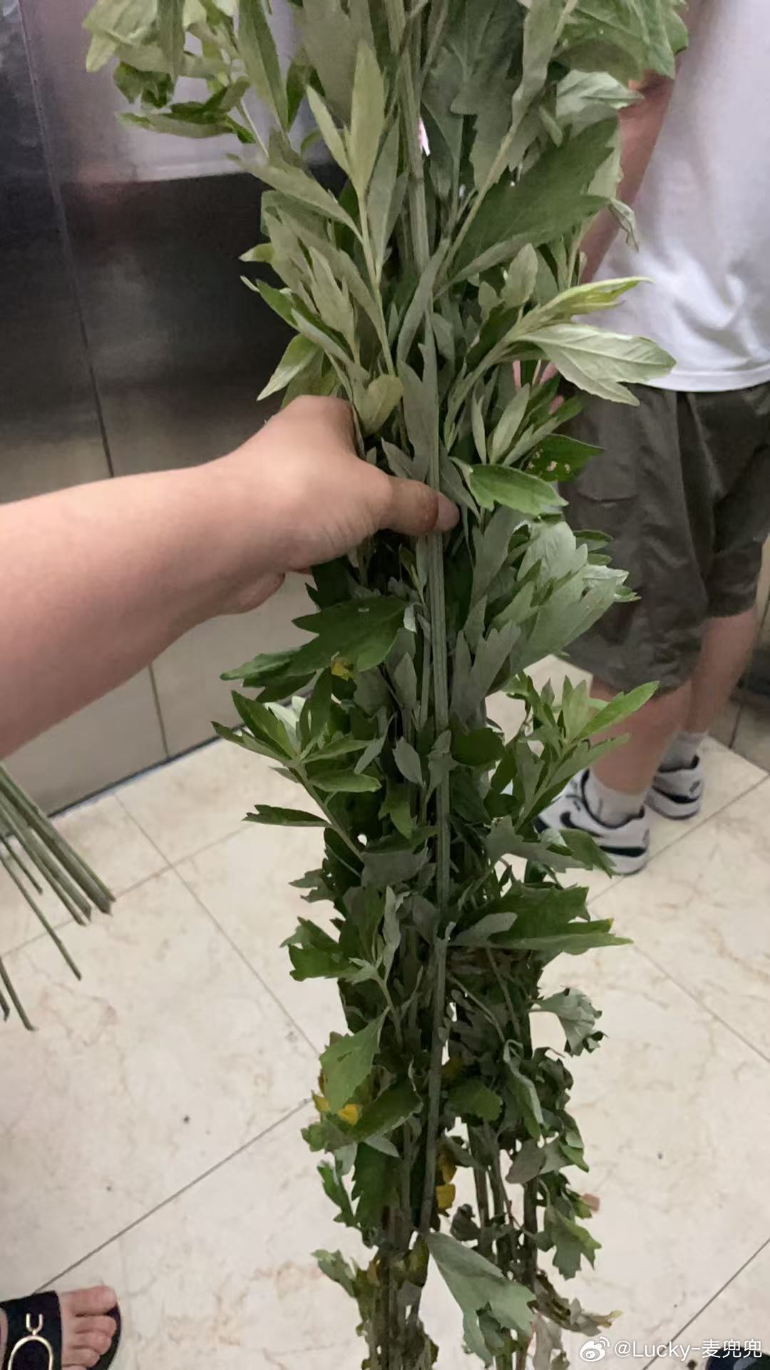 被真诚对待是种什么体验端午节快到了今天早上物业在大门口摆了艾草路过的业主都可以去