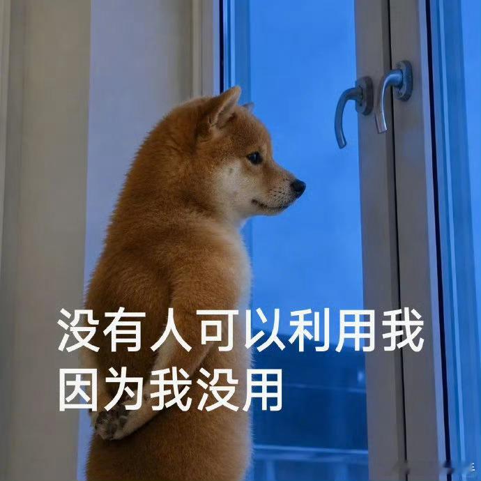 陈瑶 孟子义好奇怪，这两家粉丝怎么突然撕起来了……瑶妹性格极好，孟姐也是有口皆碑