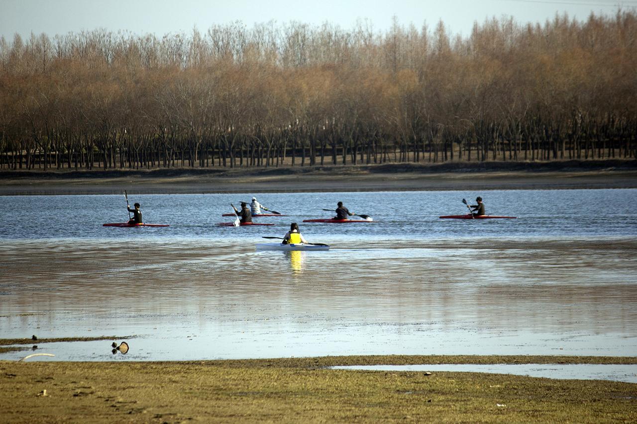 冬阳蔫儿吧唧趴在河岸，杨树秃枝桠戳得整整齐齐。水浅处泥滩泛着潮腥，红皮划艇跟撒水