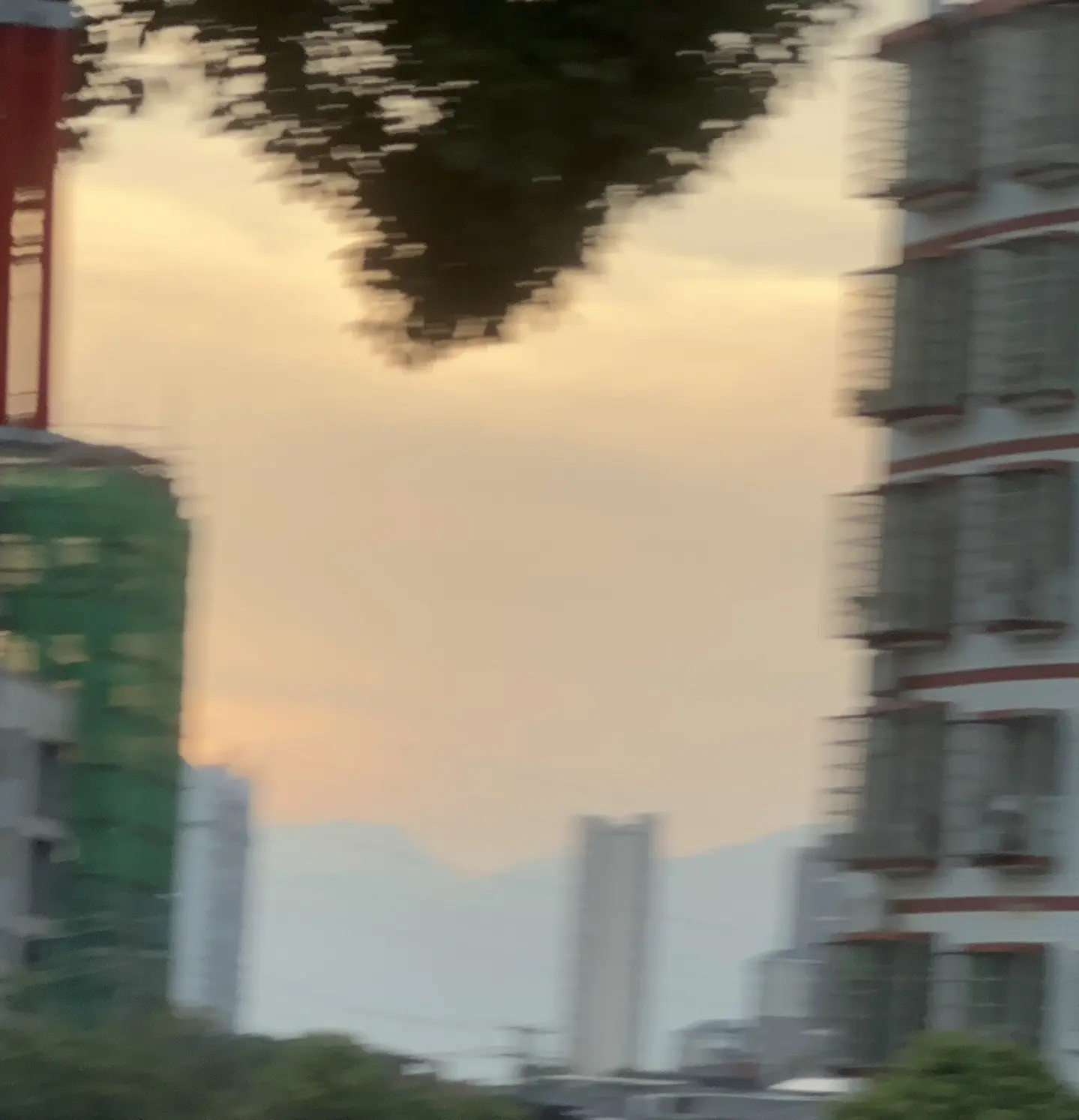 《蝴蝶沉溺》by倾芜 女主十七岁出道，摘下影后桂冠，但因为性丑闻舆论陷入网暴，这时候跟了男主，一跟就是六年。
外人眼里的妹妹，内里却早已把彼此交付，女主喜欢男主，淡圈退圈改为去上学，一直默默跟他身边，伪装温柔乖巧做金丝雀。
男主是家族集团掌权人，婚姻注定是利益＞爱情，而且他一直冷心薄情，觉得娶谁都没关系。
但是女主在知晓他婚约的消息时，还是心死了，毫不犹豫离开他，投身搞事中，在一片骂声污蔑的言语中靠演技杀出，事业站到顶峰。
男主毁了婚约，这刻也能更清楚的认识自己的感情，开始追妻火葬场，各种拉扯真的超带感，特别好看。
爽文➕搞事业➕豪门高干，超好看！
