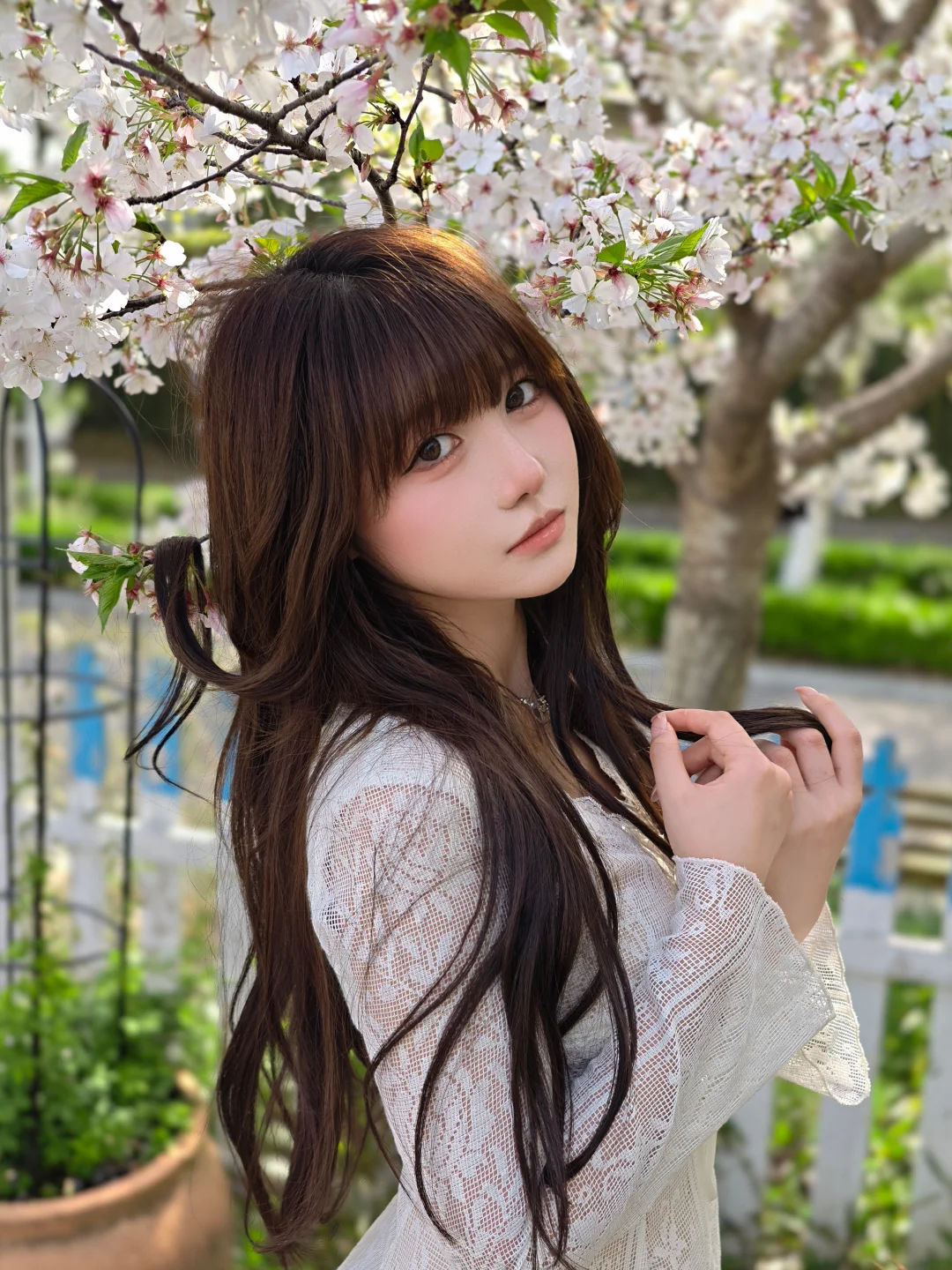 也是让我拍上🌸了