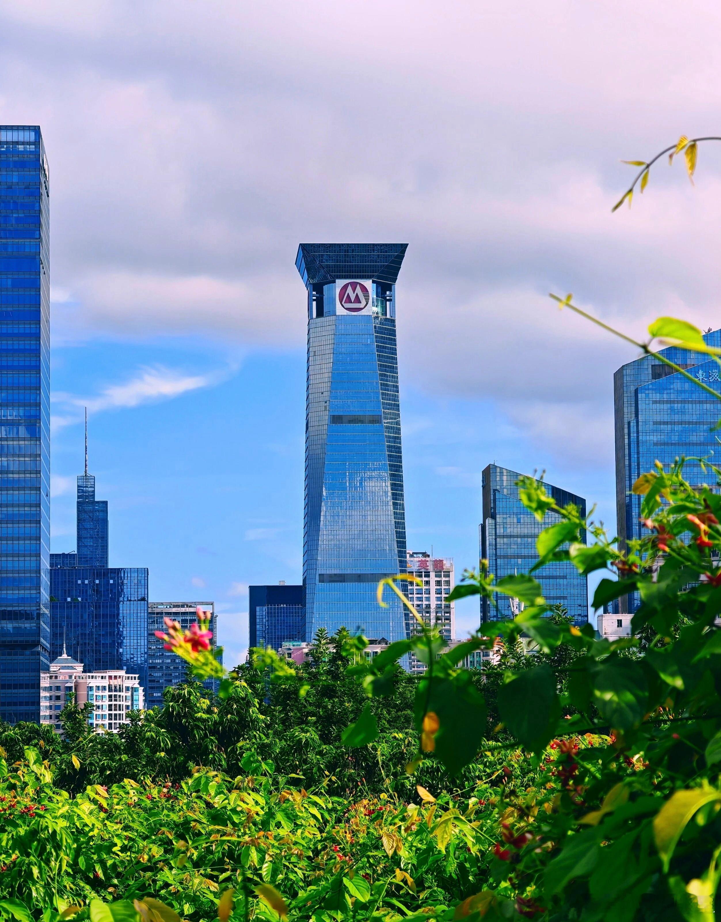 公司出现问题，并不是所有企业都有公司治理的问题有些是股东算计股东的问题，有些是经