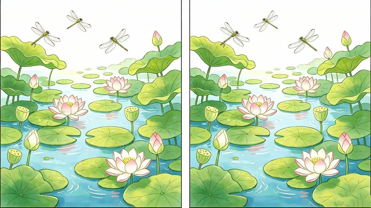 满池荷花两幅图，8处差别藏得很深，你能找出几处？

看图找茬 趣味互动 解压小游