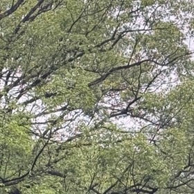 0000生活中，我们会接触到各种各样的看法和评价。请记得，一句夸奖，未必是你的全