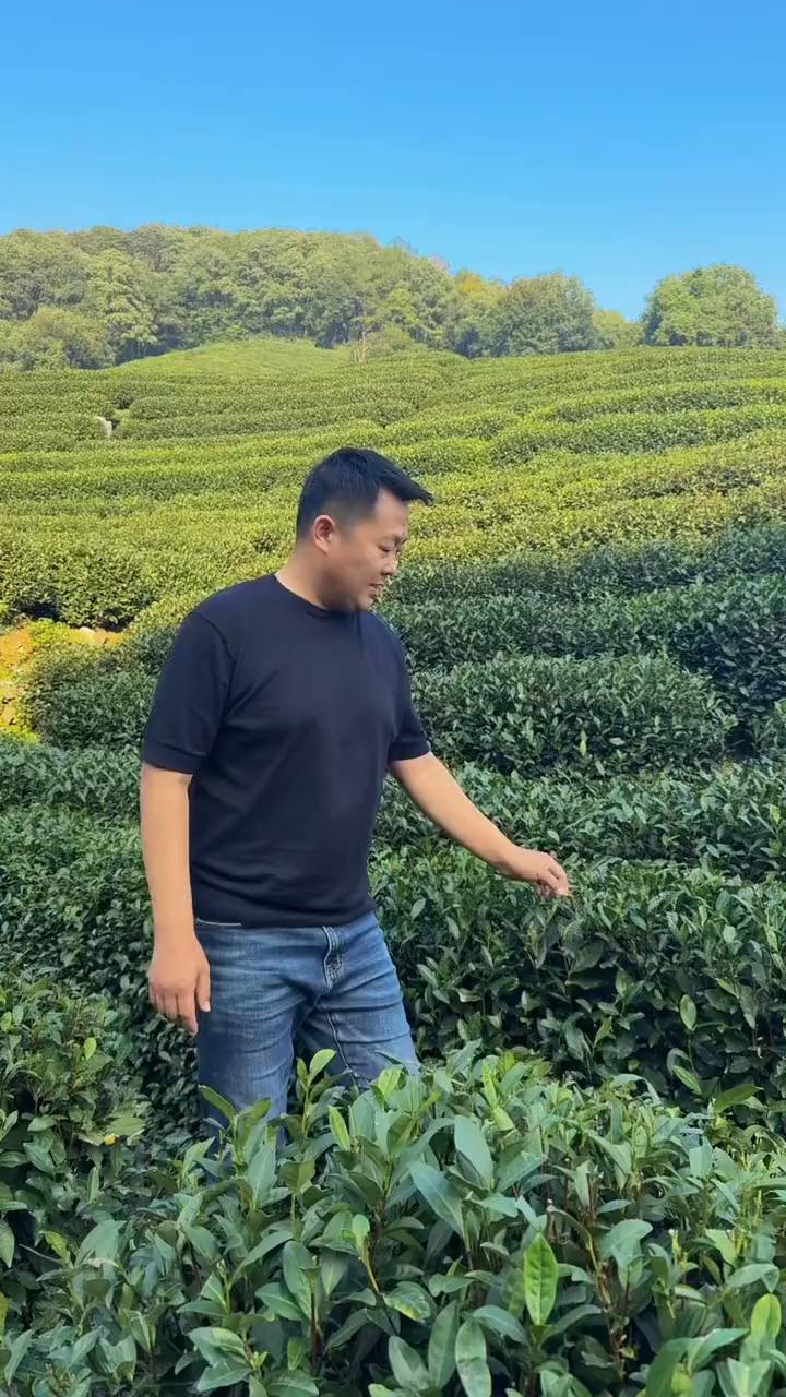 悠悠的那个地方。