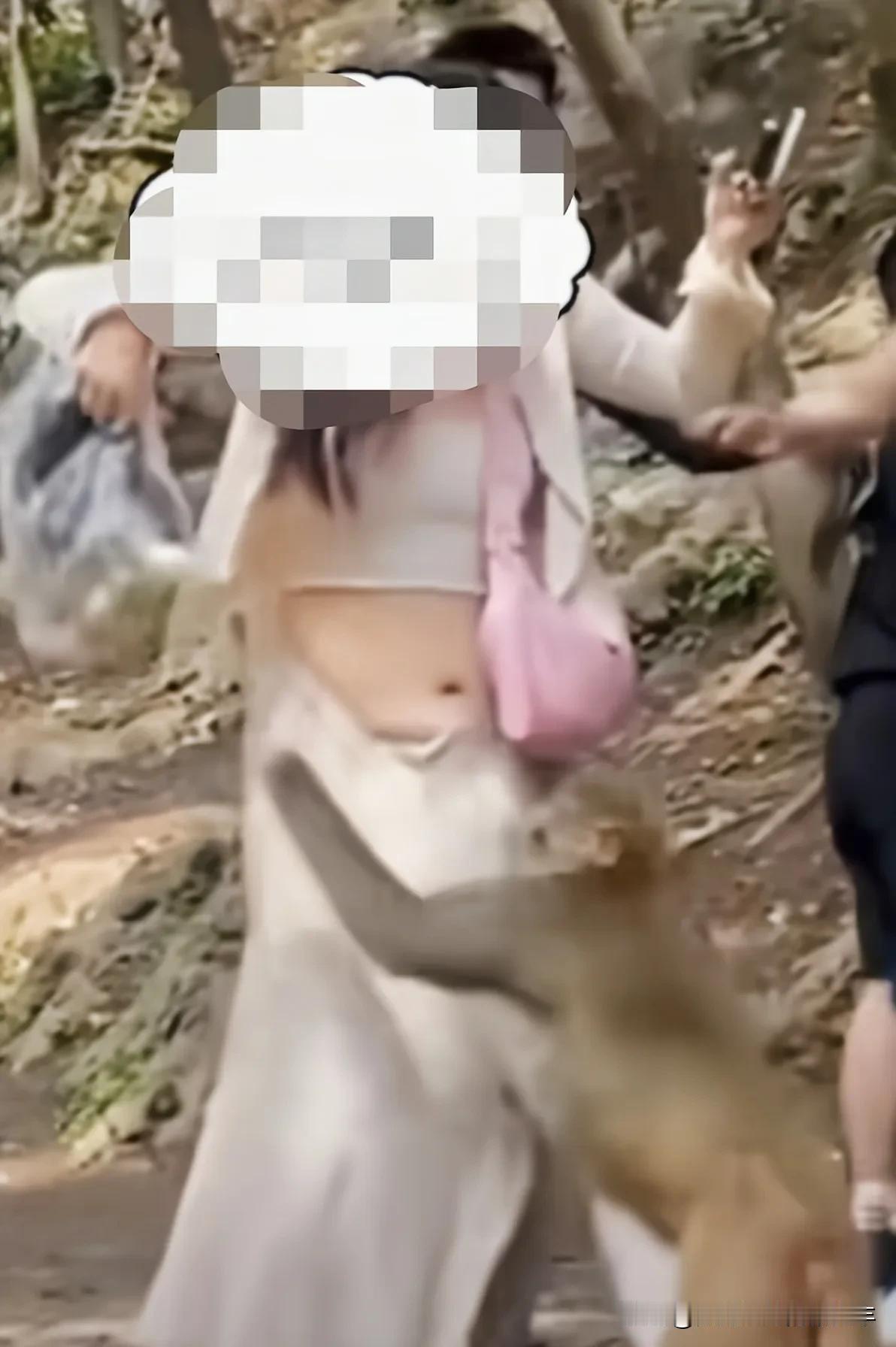 旅游区内，泼猴拦路抢劫游人们包包、水果袋、手中食等等等的瞬间！

这瞬间，搞得小