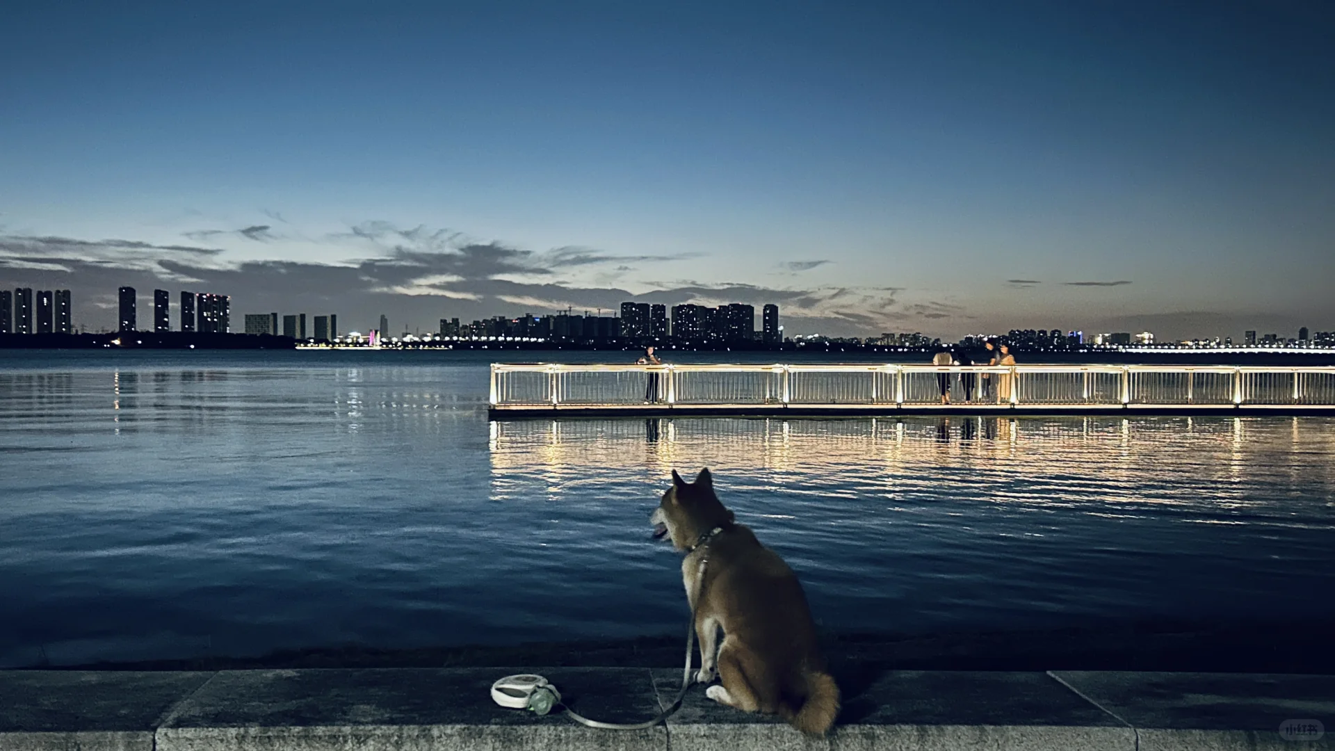 🐶：麻麻，湖边赏月蚊子有点多