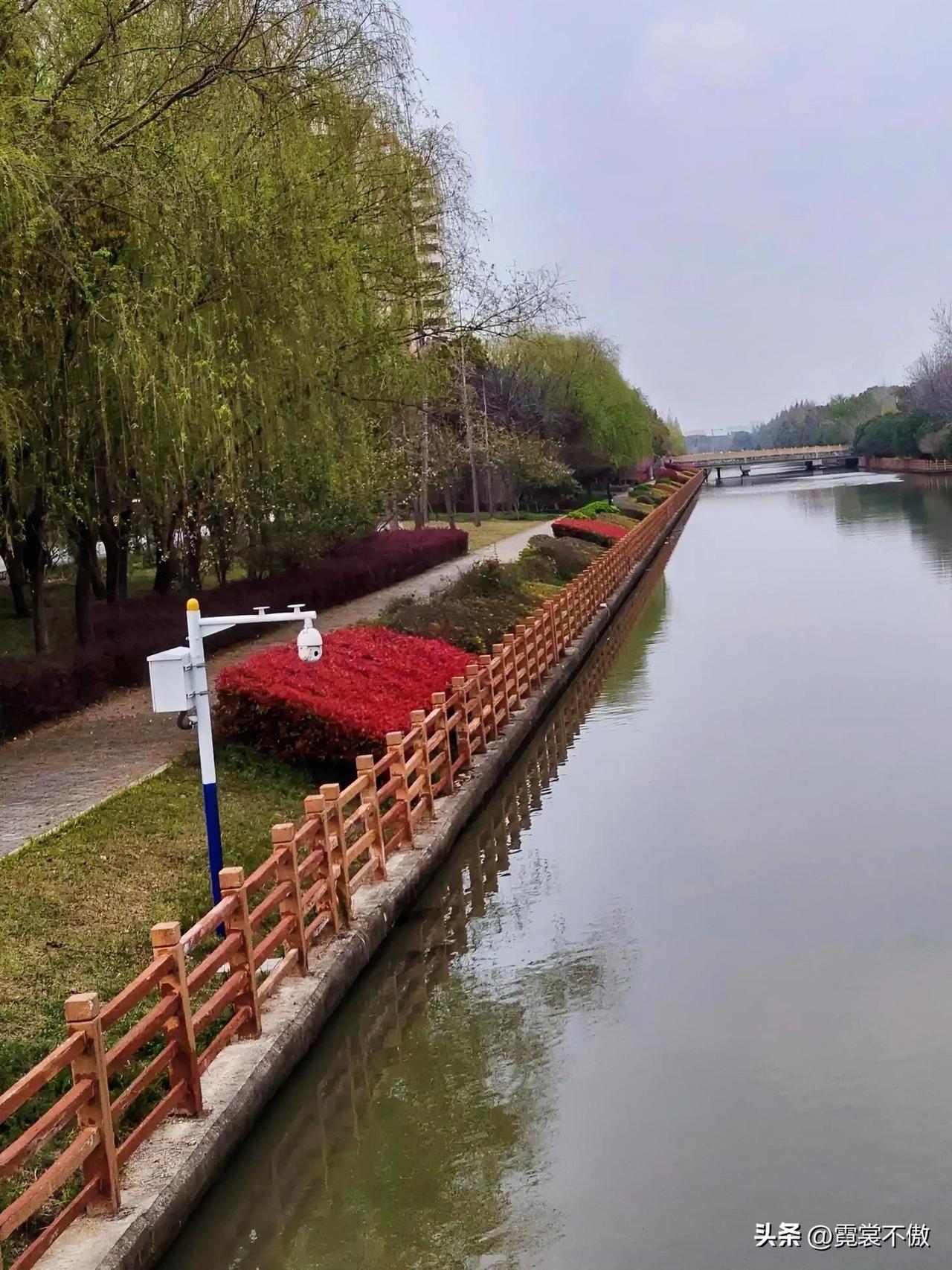 春回大地万物复苏，
披红戴绿鸟儿啾啾