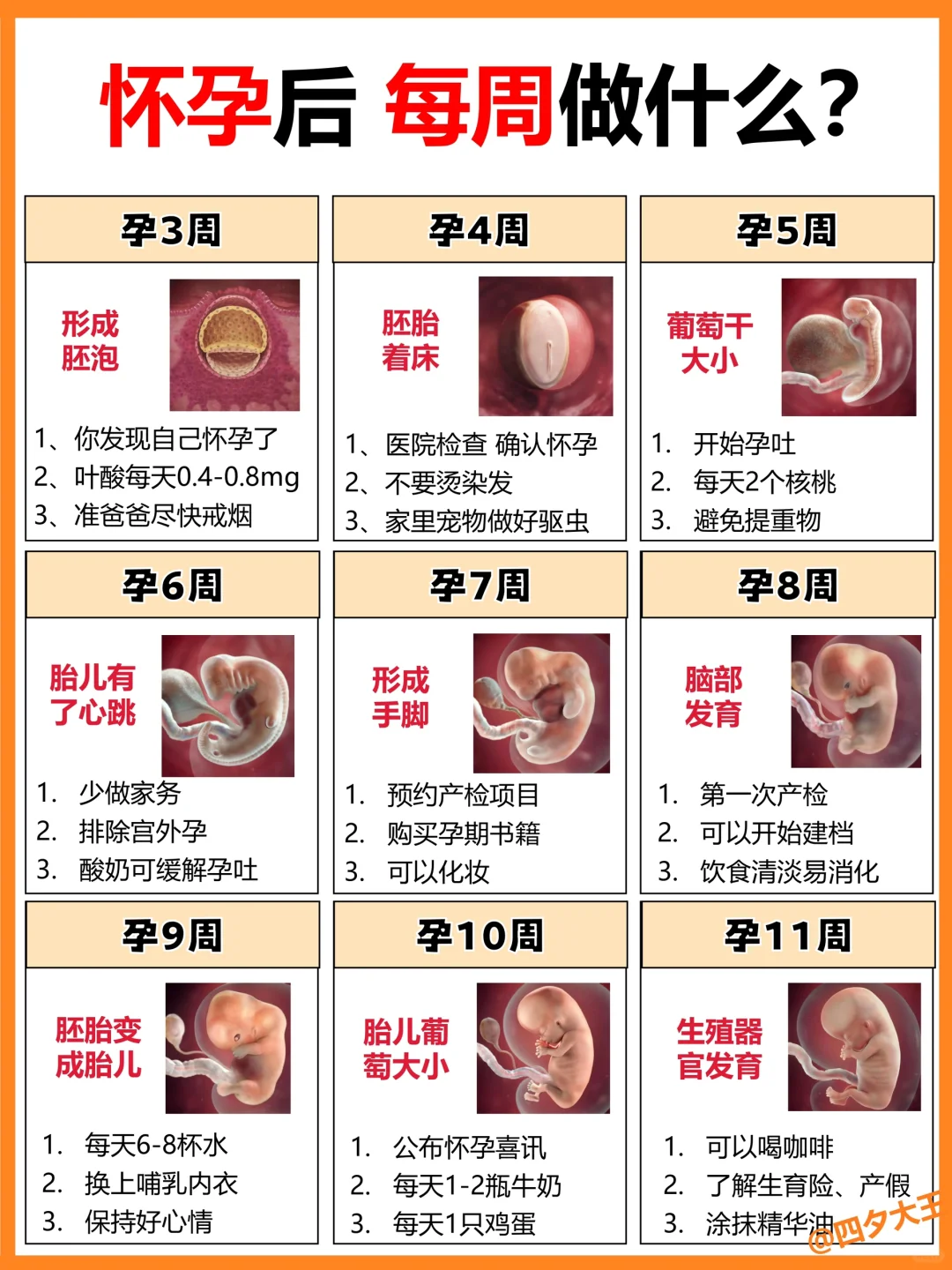 怀孕1-40周要做什么⁉附胎儿发育过程，打印