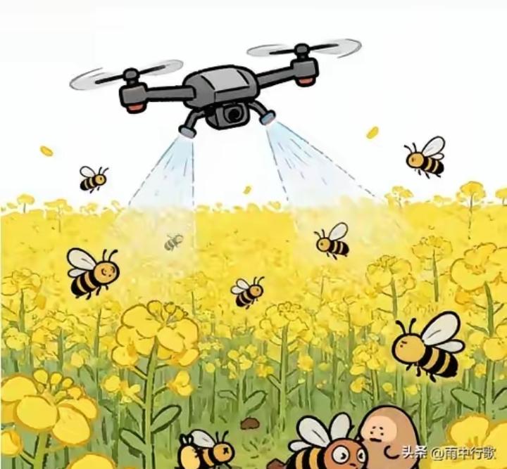 官方领导这次是动真格了，那些在油菜花期乱喷药的人，这回怕是要哆嗦。​前几天看到蜂