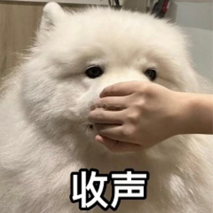 仿佛听到👂小伙伴们又要开始嘤嘤嘤……嗡嗡嗡🐝🦟🐝了，这次靓仔把你嘴捂着了