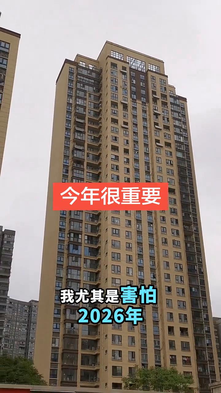 尤其是二零二六年，尤其是害怕二零二六年，我多次聊过是一个重要的时间节点。有一大批