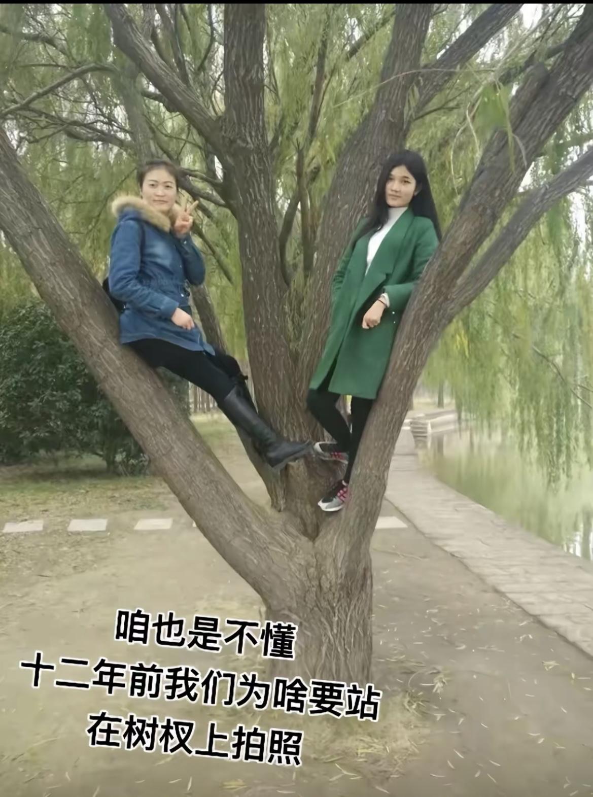 我敢说，你们以前也拍过这种[泪奔]