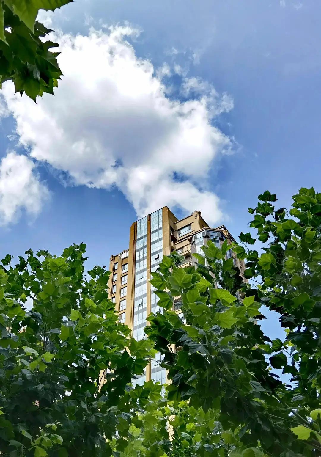 家里有房莫空闲，
有人居住冒冒烟。
不住不租就卖掉，
总之莫让房空闲。
要问为啥