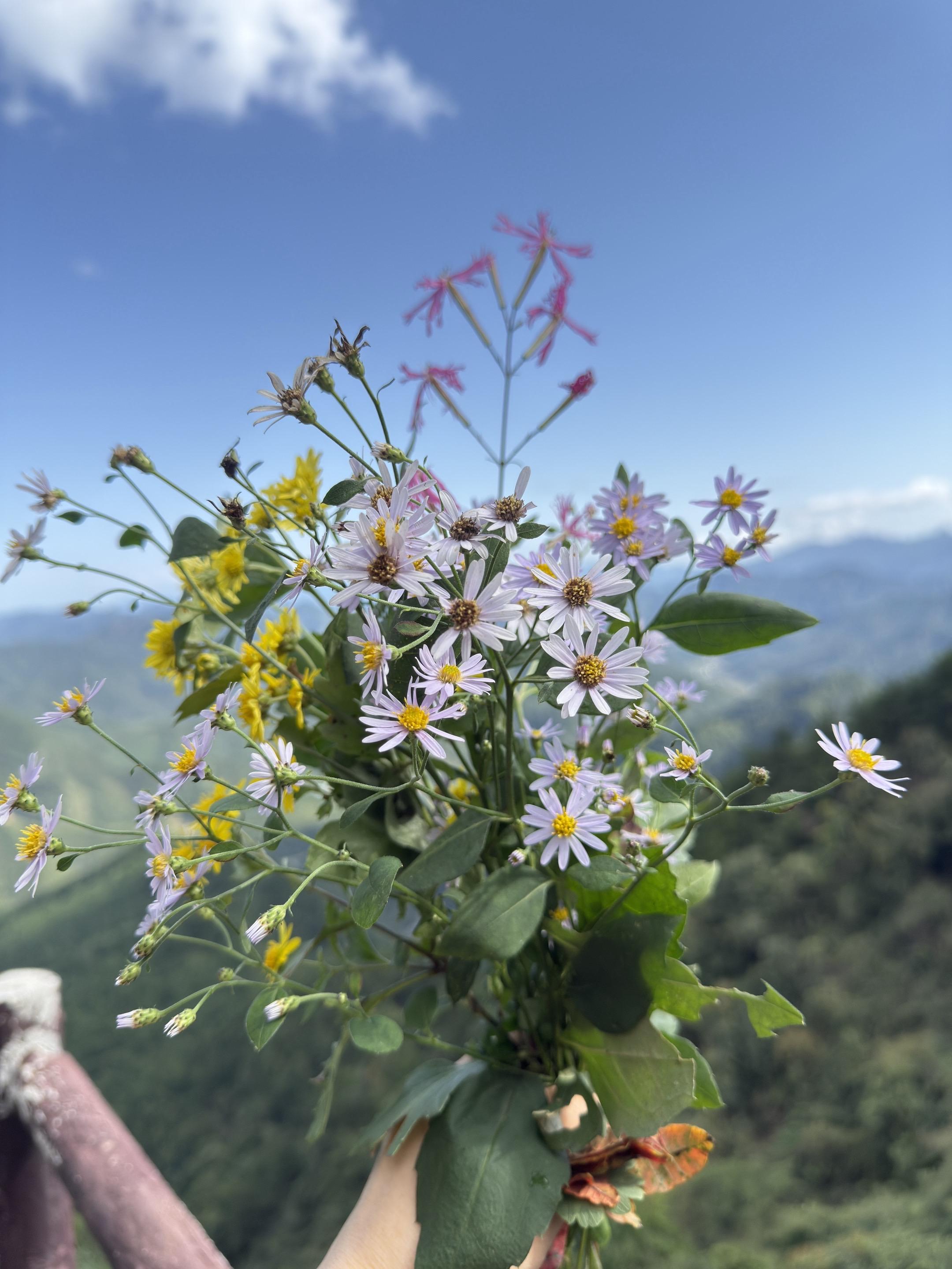 ERCP后钛夹缝合保护括约肌功能！周六一个患者来咨询能不能做不切胆道括...