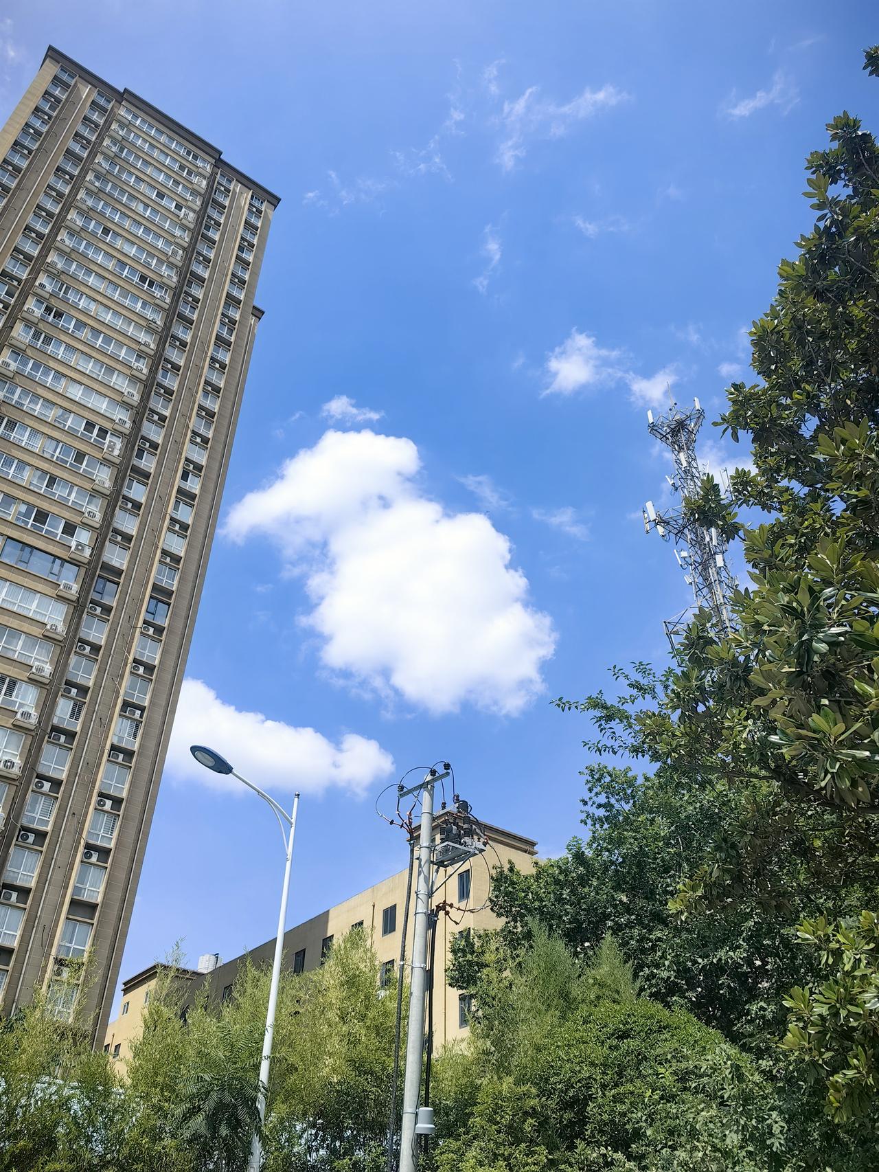 突然发现，我成了单位的“老大”！

今天是2026年7月24日，星期五。古城西安