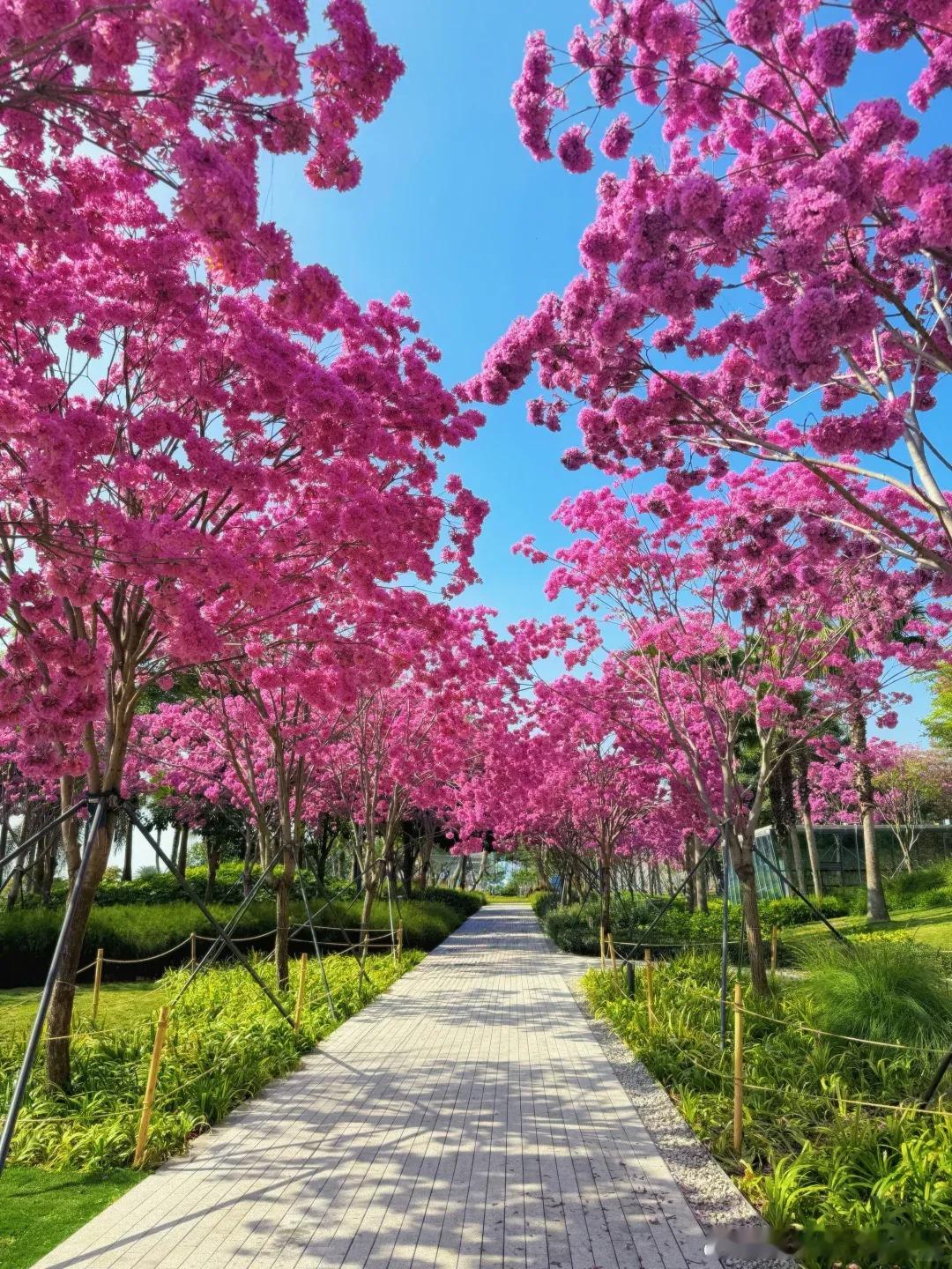 问：如何处理合伙人退出之后的业务合同、客户关系和外部合作关系？答：企业应及时确认