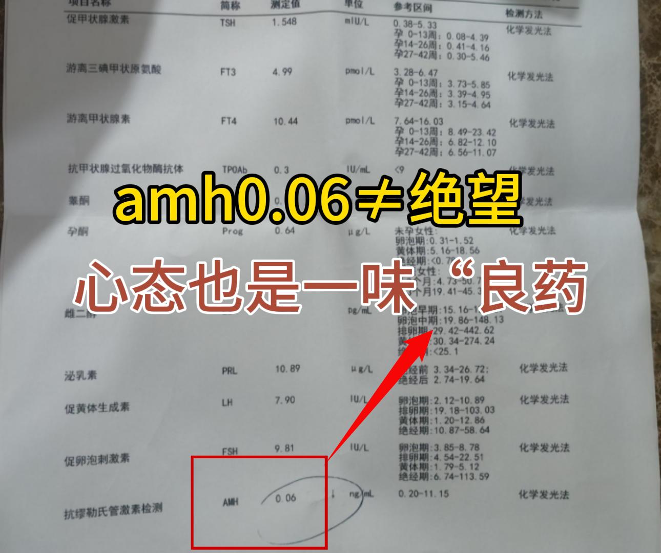 月经 早衰 闭经