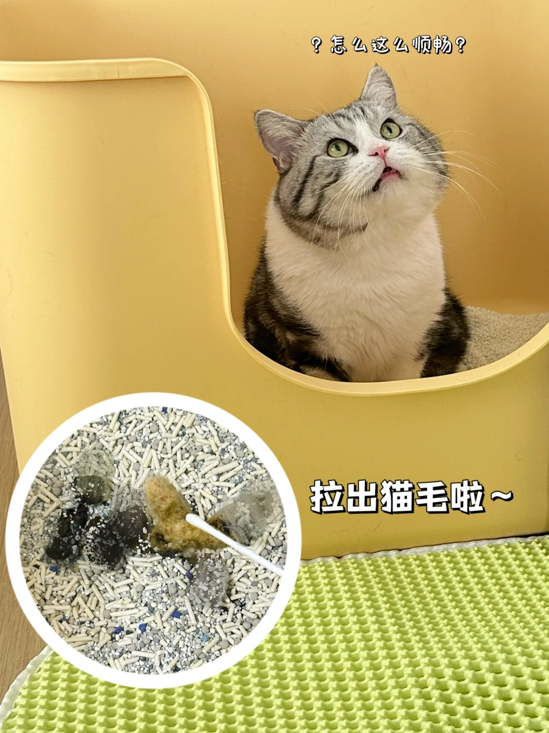 都快三岁了，还在踩奶！