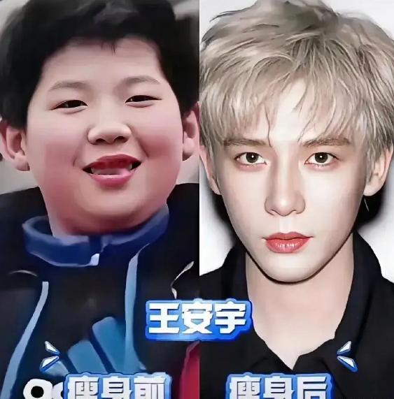 娱乐圈男明星的逆袭故事。从彭于晏、李现到魏大勋、王安宇和张凌赫，他们通过自律和努
