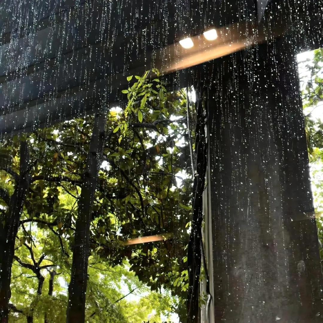 人的两只眼睛，全是平行的，但却不平等看人。人的两只耳朵是分在两边，却总好偏听一面