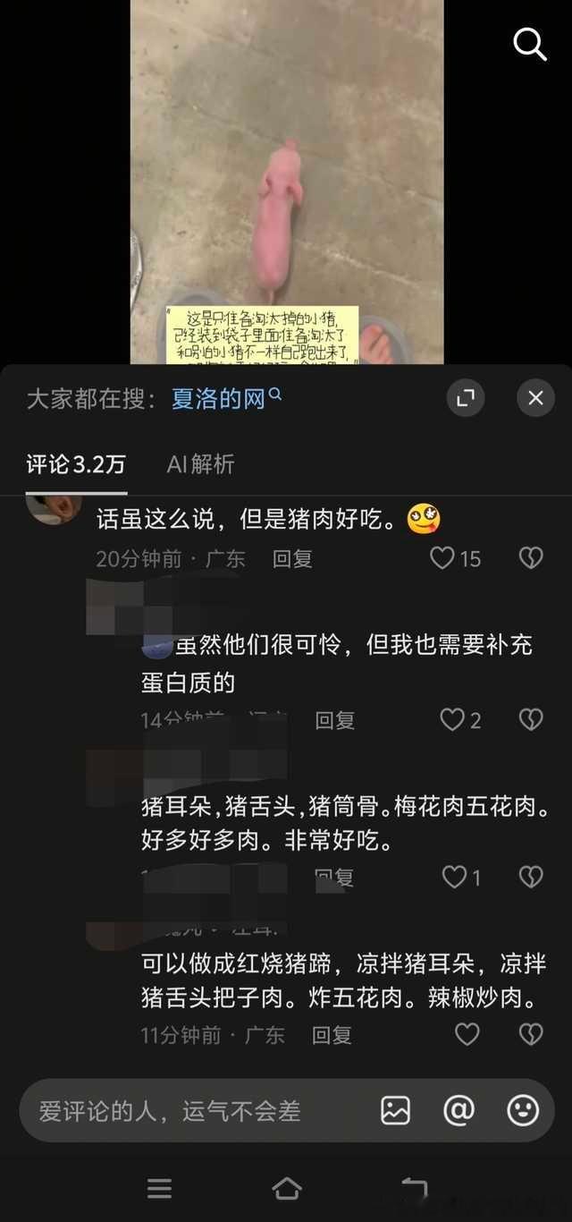 【】原帖与动物伦理学相关 这种人在这种视频下评论是不是觉得自己老清醒老西/格/玛