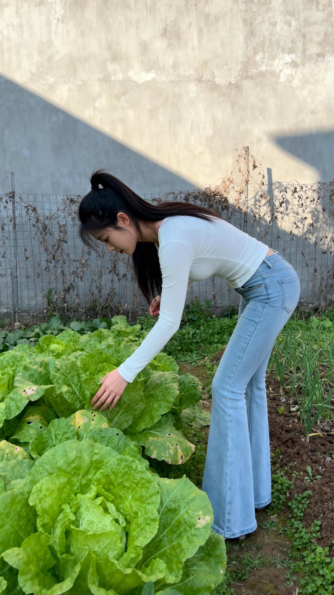 自给自足，幸福的农村生活老百姓为啥不用信用卡了