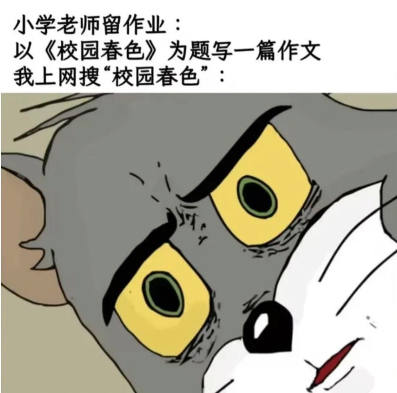 坏菜了 
