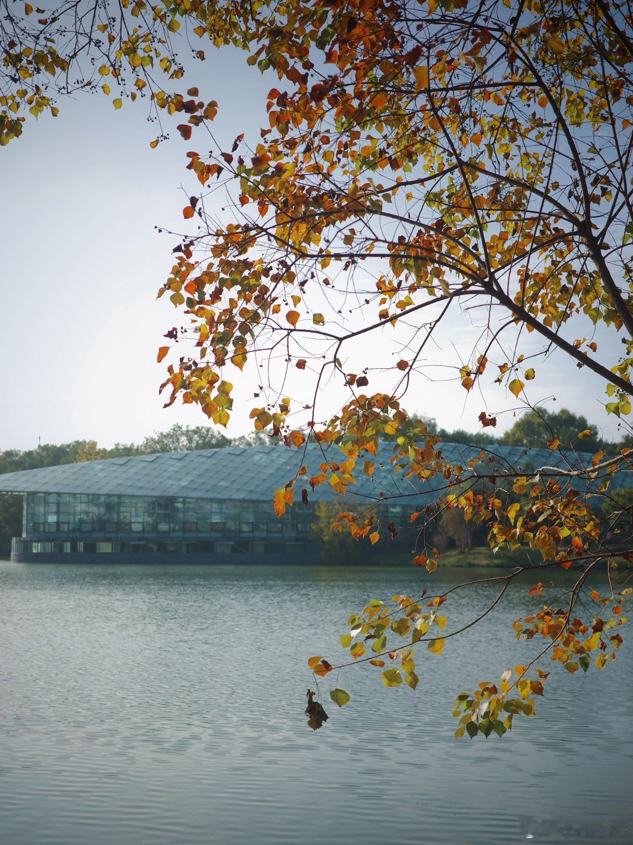 一直以来会收到大家很多很长的私信，决定开通一个树洞邮箱 [ sleepin202