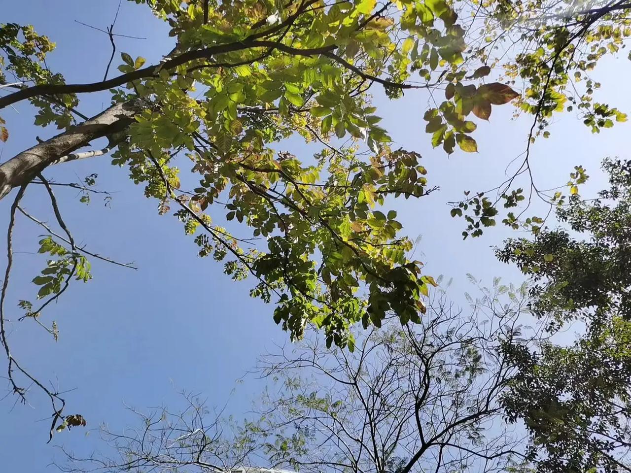 怒者，心之奴也。
不做情绪的奴隶。
稳住情绪，拿回自主权，做自己的摆渡人。

互