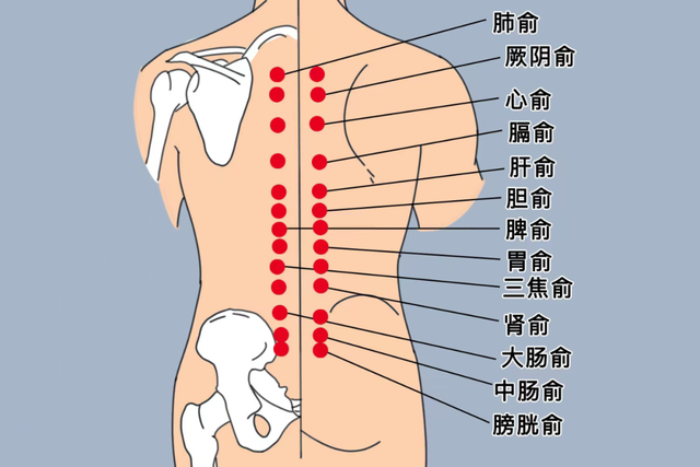 春夏交替，4件事养出好精力
