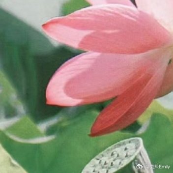 每日一善一粒尘埃，在空气中凝结，最后生成磅礴的风雨；一粒沙石，在蚌体内打磨，最后