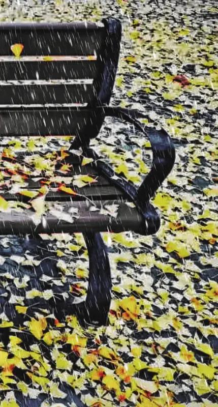 看到“秋雨无心敲落叶”这个上联，我脑袋里立马就开始琢磨下联了。上联营造出一种很有