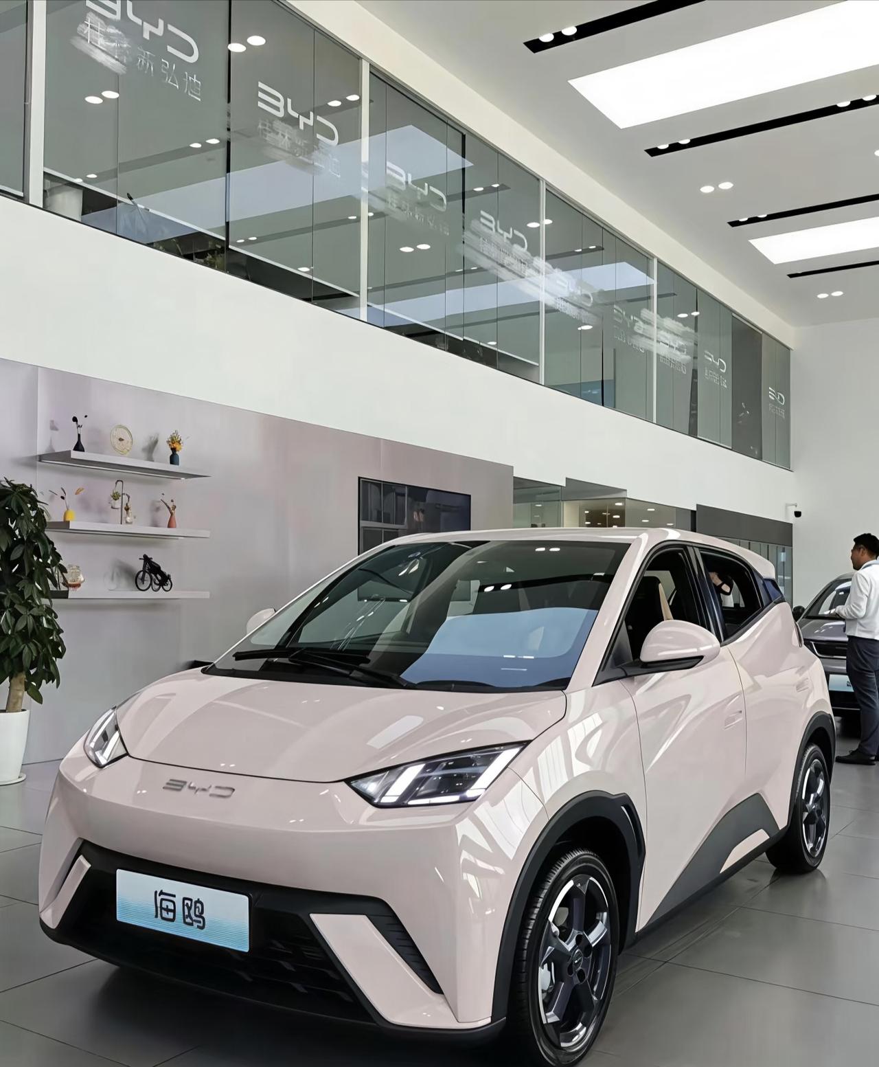 对于那些刚刚参加工作的年轻女性来说，手里如果有十万块钱能用来买车的话建议选纯电代