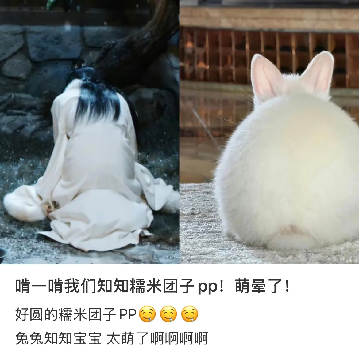 软软糯糯的米团子
