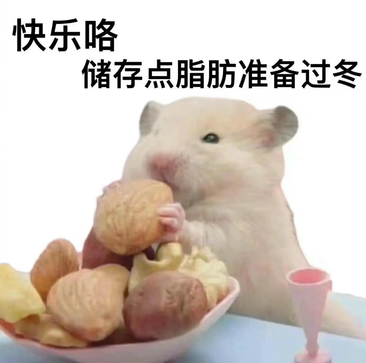 【鼠鼠：您们这人味啊，还差点意思~】都知道老鼠怕猫，哪怕闻到猫尿都瑟瑟发抖。为了