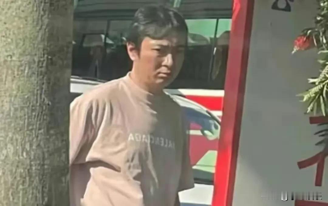 王思聪在日本街头被拍，满脸愁容，很烦恼的样子。是啊！快40岁的男人，事业无成，家