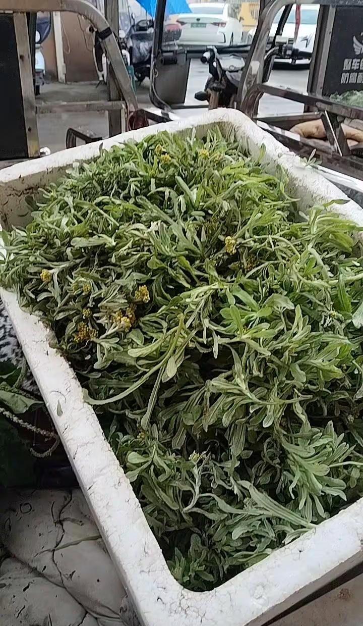 有人知道这是什么有机菜吗？🌱。在菜市场发现这种菜的瞬间，真的有种挖到宝的感觉！