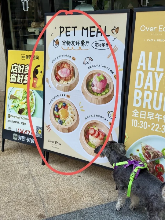 四海城也有了！广州不愧是大城市。。