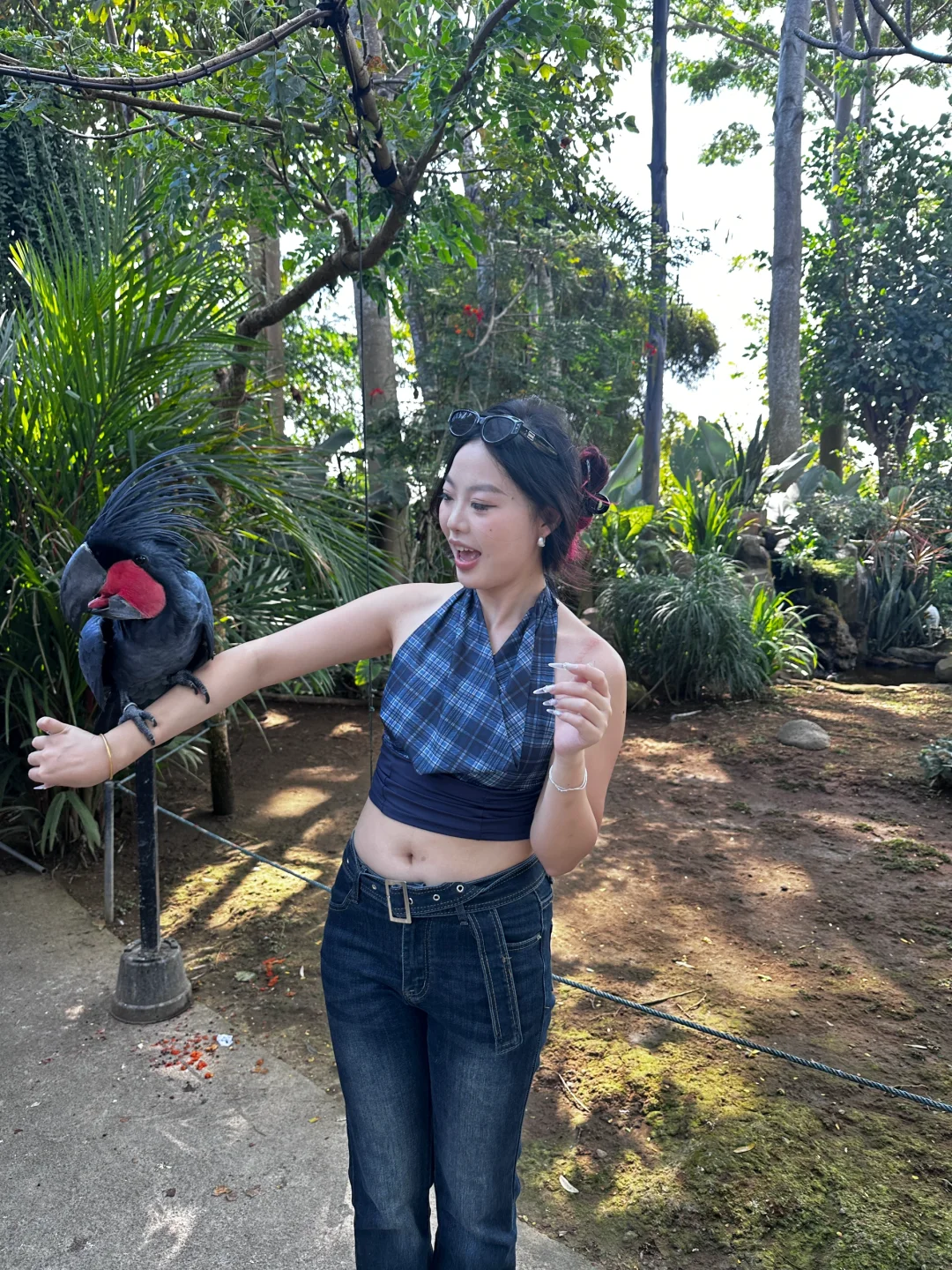 我就长这样，不长这样为什么p这样