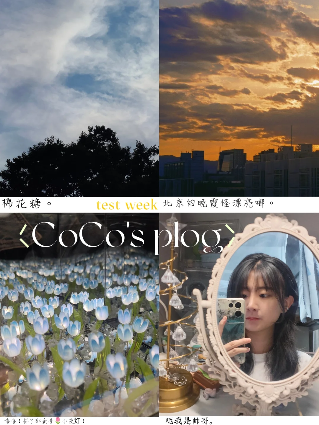 北航大二｜备战，卸载期末🫰🏻