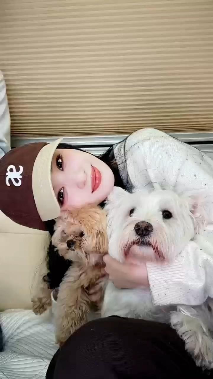 王楚然丞磊拍上全家福了澹总和庾妃穿回现代养猫猫狗狗了  情人节疑似鱼蛋cp对我火