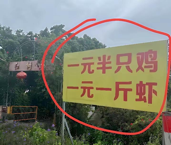 这应该不是真的吧