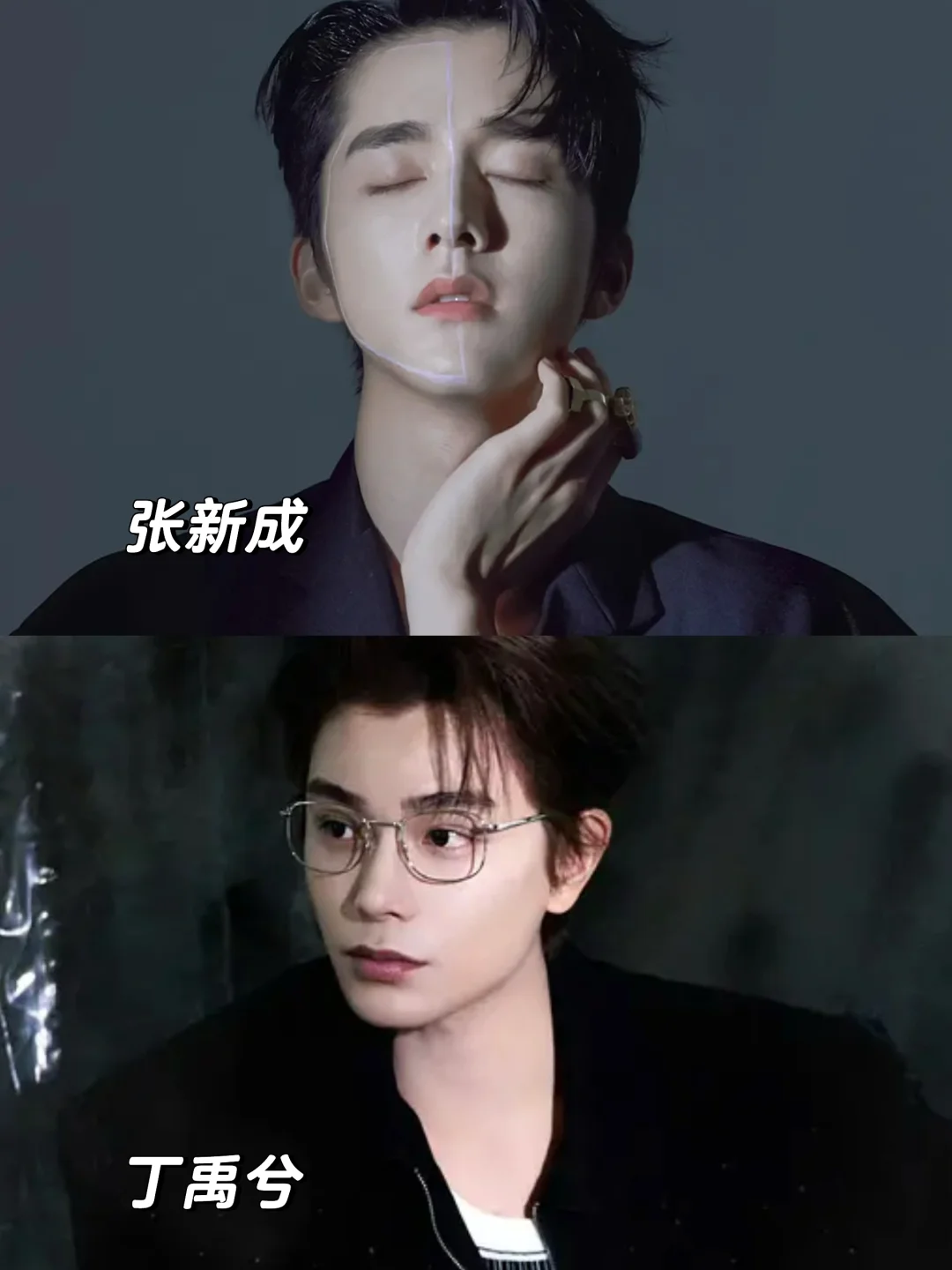 双男主‼️张新成➕丁禹兮‼️这新剧杀疯了